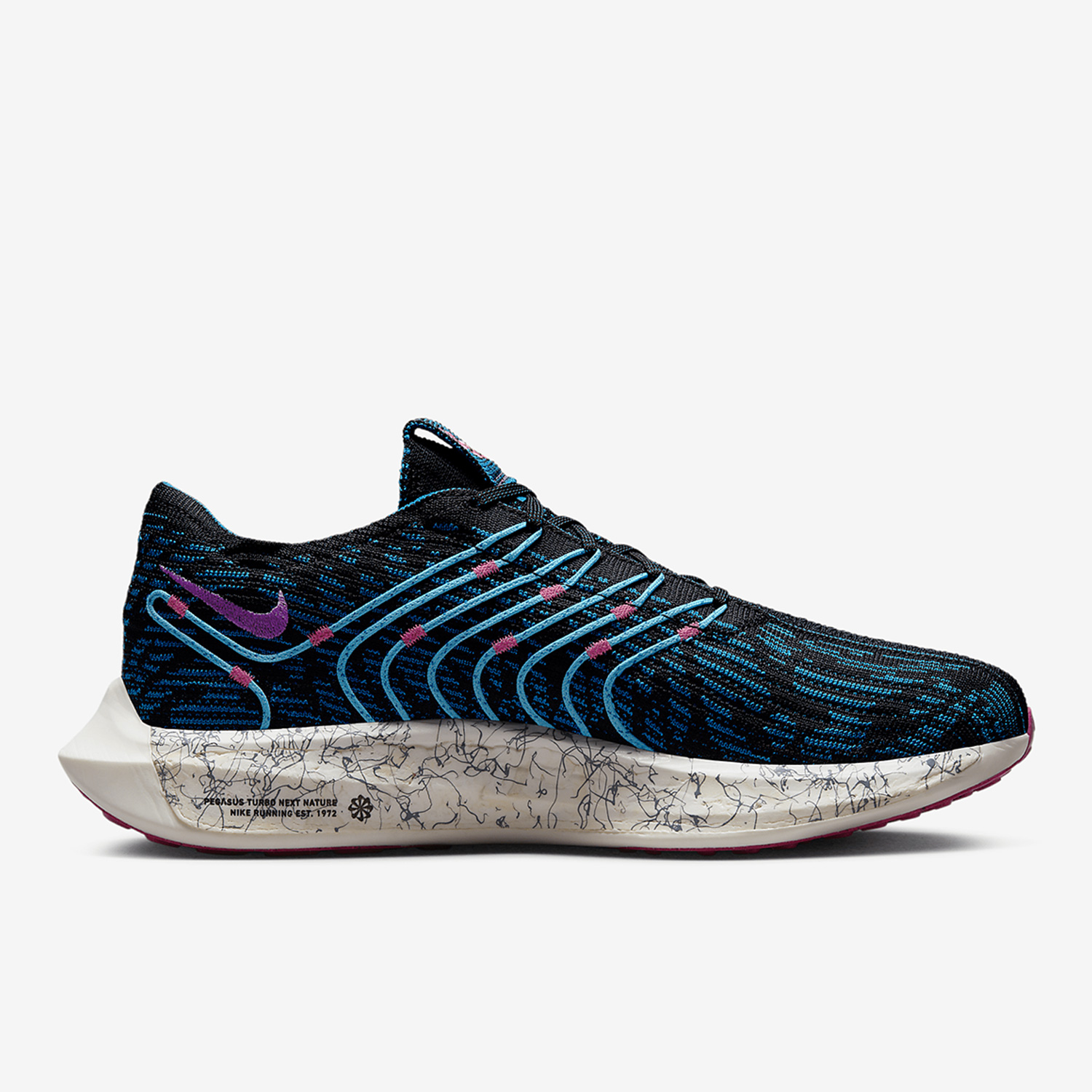 Nike Official Genuine Pegasus  – Men'S Shoes Next Bewertung und Preis